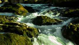 Et au milieu coule une rivière II