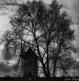 Le Moulin sur la route de Bourg-Achard