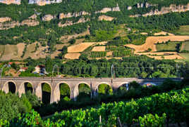 Un petit peu de tout