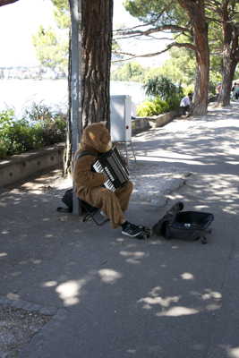 A ne pas mettre un ours dehors