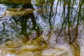Reflets sur remous