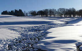 Une rivière de pierres VERSION COULEUR