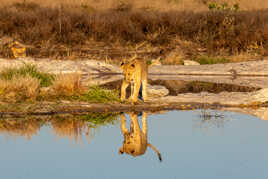 Suis-je le plus beau ?