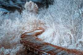 Le chemin de l'IR (1)