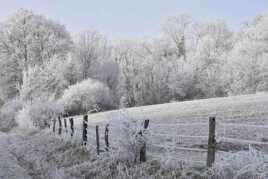 dans le haut Saintois