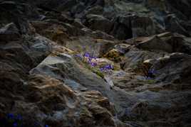 Au milieu des rochers