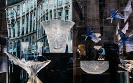 L'accordéon et les oiseaux