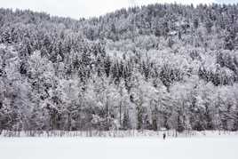 Ski de fond au Grand Bornand
