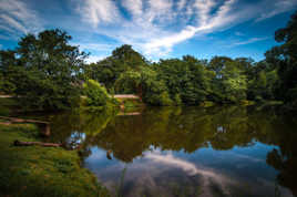 l'étang derrierre chez moi