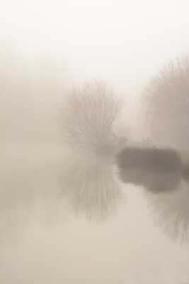 Brouillard matinal dense