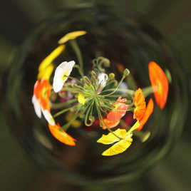 essai image sphérique