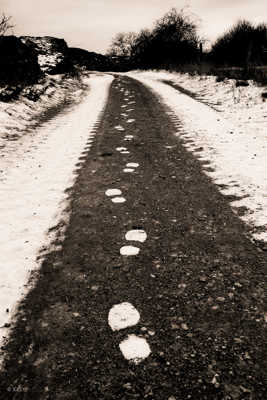 De la neige sur les pas