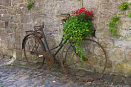 Vélo fleuri