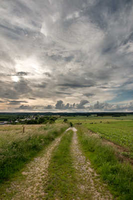 Champêtre