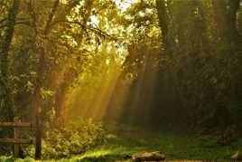 Douce lumière du matin