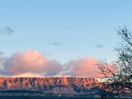 Rose sur la Sainte Victoire