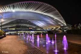 les Guillemins de nuit.2
