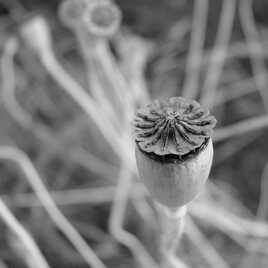 En toute simplicité.