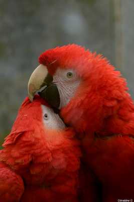 Moment tendresse