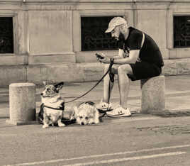 Promenade... Virtuelle