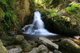 cascade vosges tendon