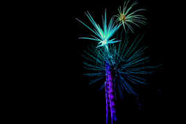 Palmiers de lumière V2