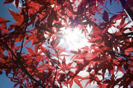 une autre idée de la france