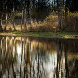 La chaise au bord de l'eau