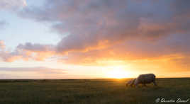 Petit déjeuner dans la baie