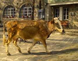 Ne vous dérangez pas, je ne fais que passer...