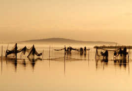 Estampe Japonaise du Languedoc