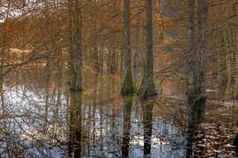 Reflet d hiver 2