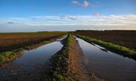 Kilomètre réglementaire