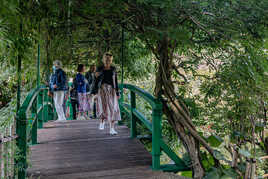 sur le pont japonais jardin d'eau de C. Monet