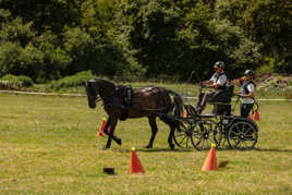 Concours d attelage