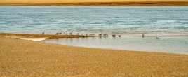 Chacun son tour pour la baignade