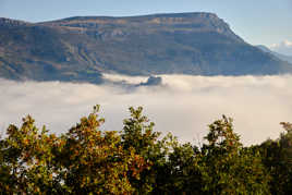 Les matins difficiles.