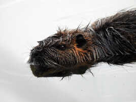 laissse moi tranquille