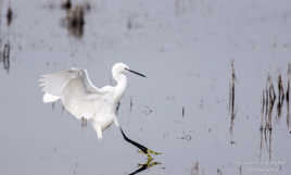 Atterrissage en douceur