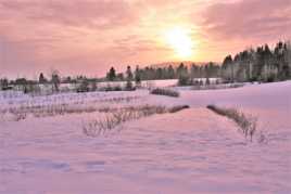 COUCHER DE SOLEIL SUR LES BLEUETS