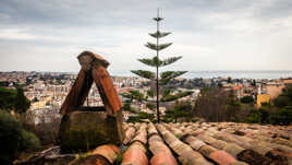 Cagnes-sur-Mer ..........