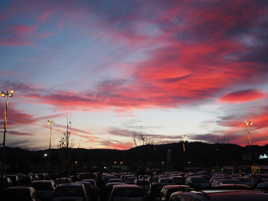 Un soir de Black Friday