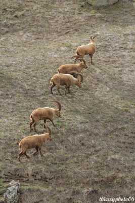 Attention ! 3, 2, 1 ...