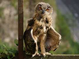 Studio de rue: Amélie prend la pose