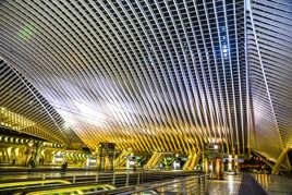les Guillemins de nuit.5