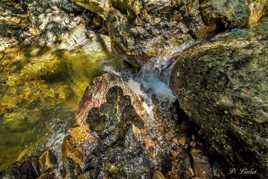 L'ombre du photographe.