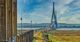 Le pont de Normandie