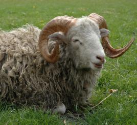 Il est pas beau mon pull?