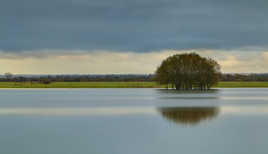 Les pieds dans l'eau
