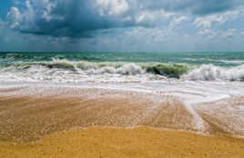 En attendant la vague...